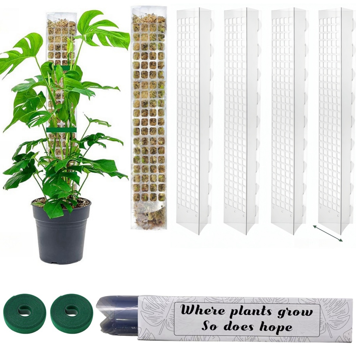 24/36/48Inch Climbing Plant Wa - Tree Stand Ladder 评论和价格