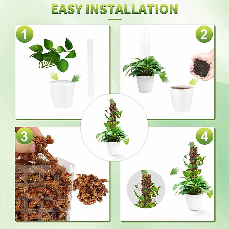 24/36/48Inch Climbing Plant Wa - Tree Stand Ladder 评论和价格