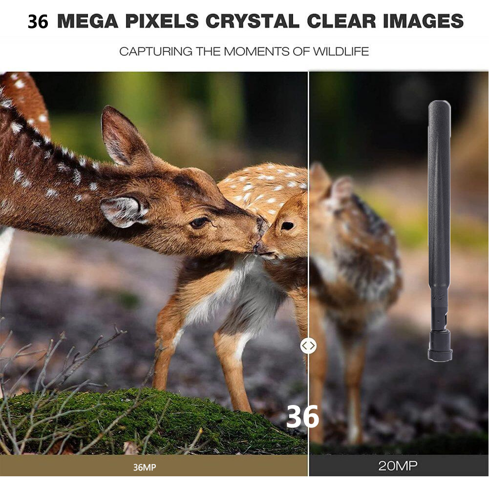 HC-801Pro Outdoor Hunting Came - Outdoor Hunting Pictures 评论和价格