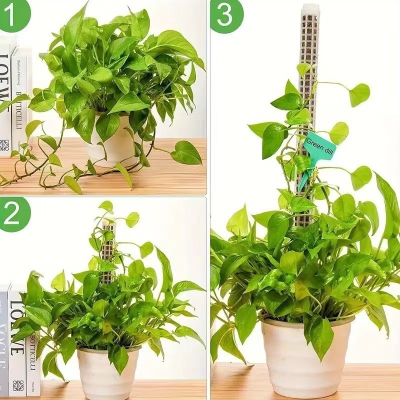 1/2/3pcs Self-watering Moss Po - Tree Stand Ladder 评论和价格