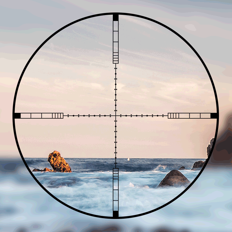 DIANA 4-16x44 Tactical Riflesc - Outdoor Hunting Lab 评论和价格